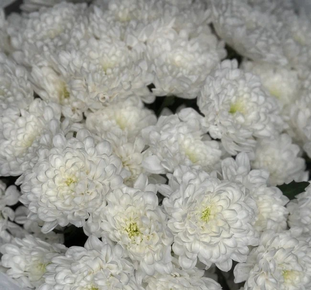 Букет цветов Облако L