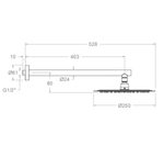 Тропический душ настенный круглый нерж. сталь BH02RM250NM черный