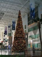 Уличная елка каркасная «Аврора» ED (пвх) от 8 м до 20,5 м