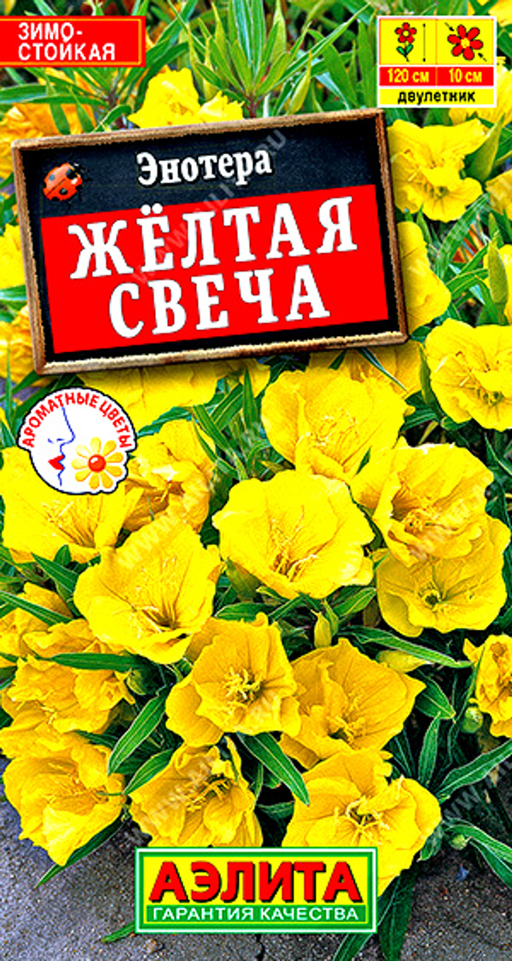 Энотера Желтая свеча