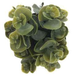 GAEM Цветочная композиция, L8 W8 H14 см