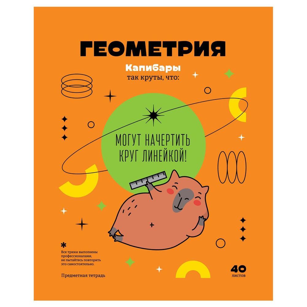 Тетрадь предметная 40л. Геометрия &quot;Записки школьника&quot; (BG)