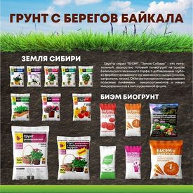 Календарь весенних работ в феврале