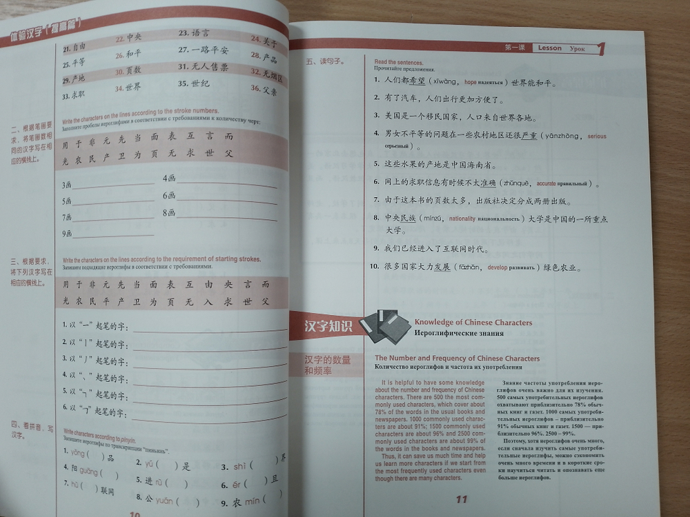 Experiencing Chinese Characters. Постижение китайских иероглифов. (Повышенный уровень)