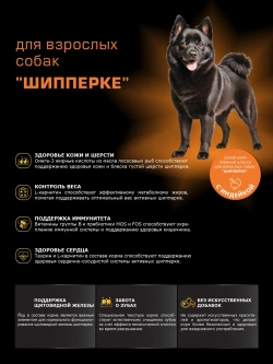 Корм сухой для собак породы Шипперке, с индейкой, 12 кг