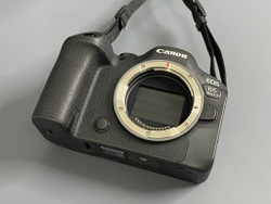 Canon EOS R6 Mark II 1000 кадров