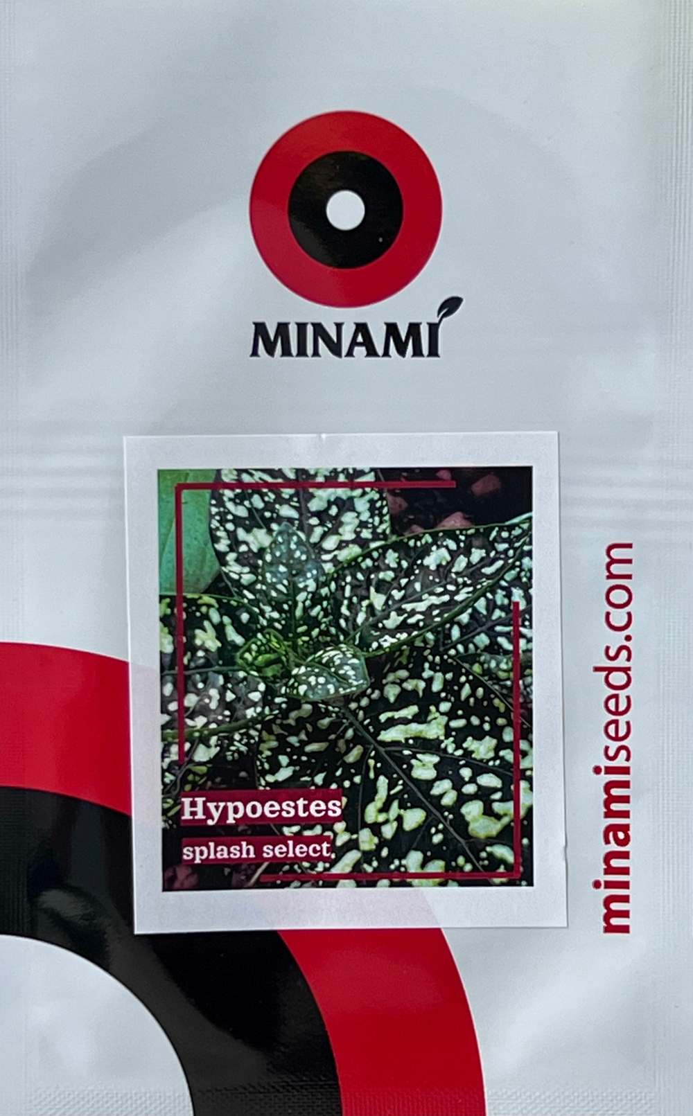 Гипоэстес сплеш Селект белый 18шт