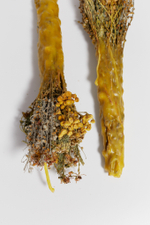 «Факел» из трав и пчелиного воска