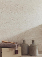 Porcelanosa Prada Acero Mombasa 45x120