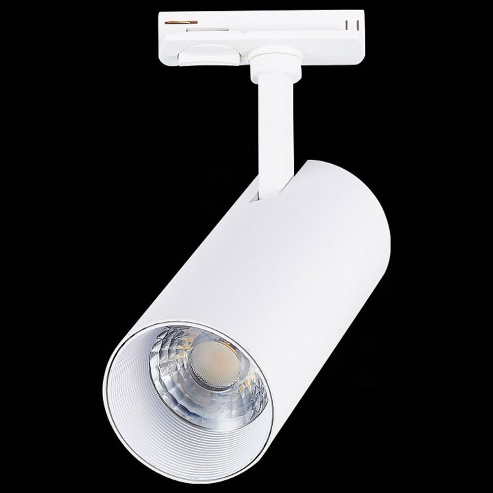 Светильник на штанге ST-Luce Mono ST350.546.20.36