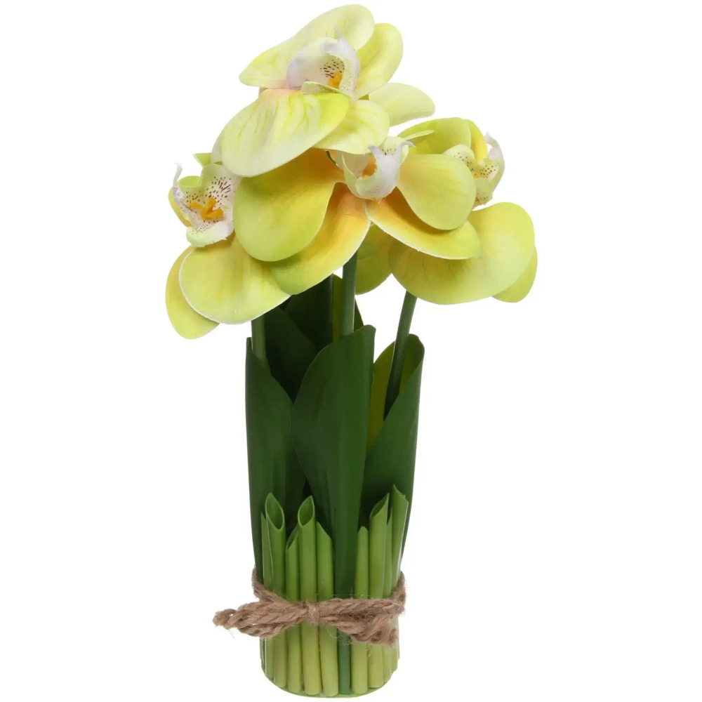 Цветочная композиция «Весенняя рапсодия» 19*27см Орхидея желтая