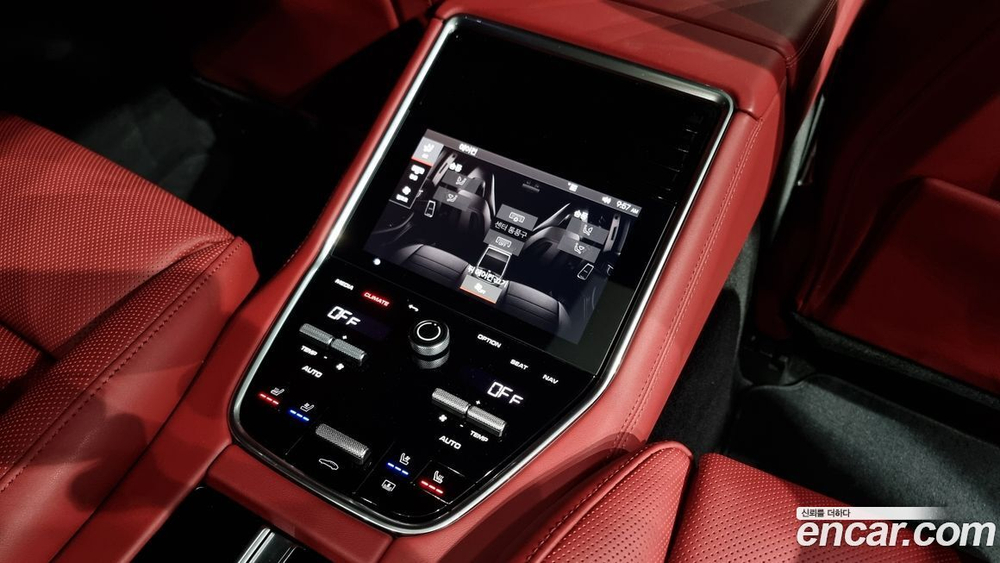 Porsche Panamera (971) 2.9 AWD Platinum Editions (08.2023)