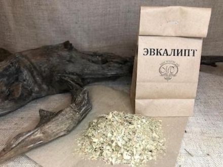 ЭВКАЛИПТ