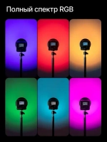 Осветитель светодиодный Raylab RL-40RGB-S 2500K-6500K 3400mAh c софтбоксом