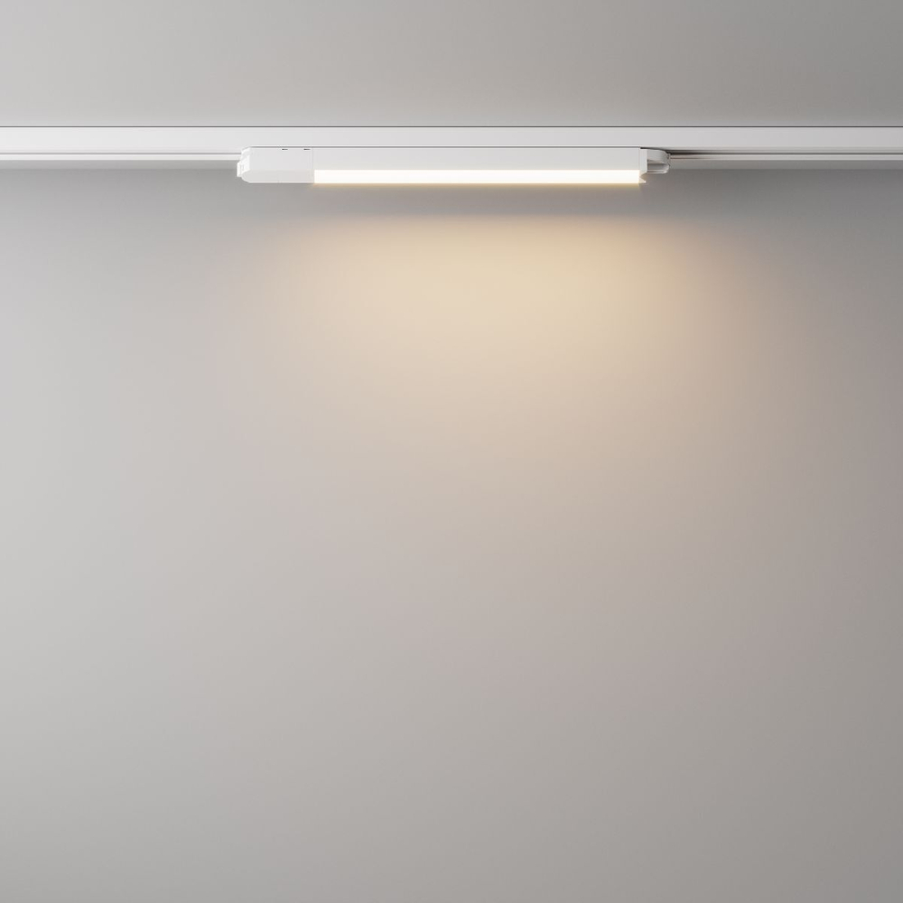 Трековый светильник Maytoni Technical TR000-1-12W3K-W