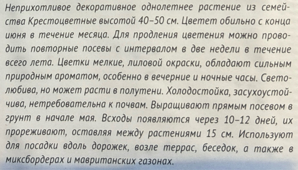 Маттиола двурогая Лиловая 0,3 г СМЦ-65
