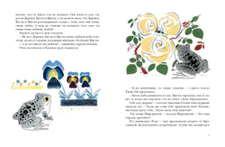 Серая Звёздочка