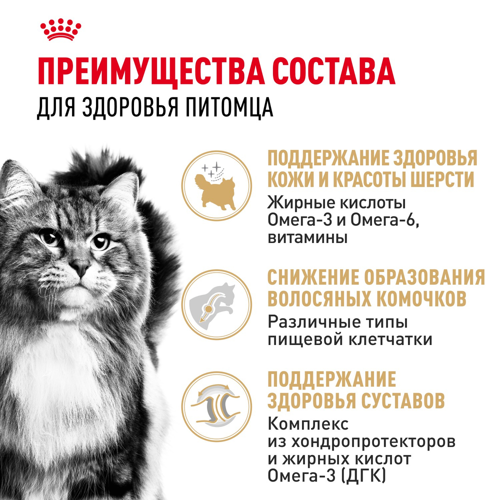 Royal Canin Siberian Adult Сибирская Эдалт Корм сухой для взрослых кошек сибирской породы от 1 года и старше 400г