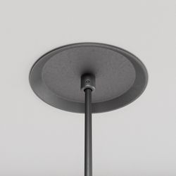 Подвесной светильник Maytoni Luna P039PL-5W3K-10INS-B