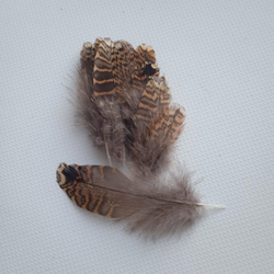 Перья вальдшнепа пушистые 4-7 см. 10 шт.