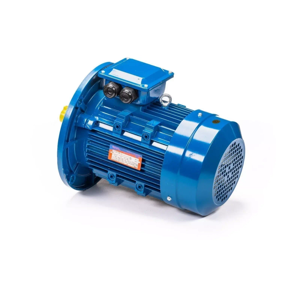 Электродвигатель 5АИ 100 L2 5,5/3000 IM3081