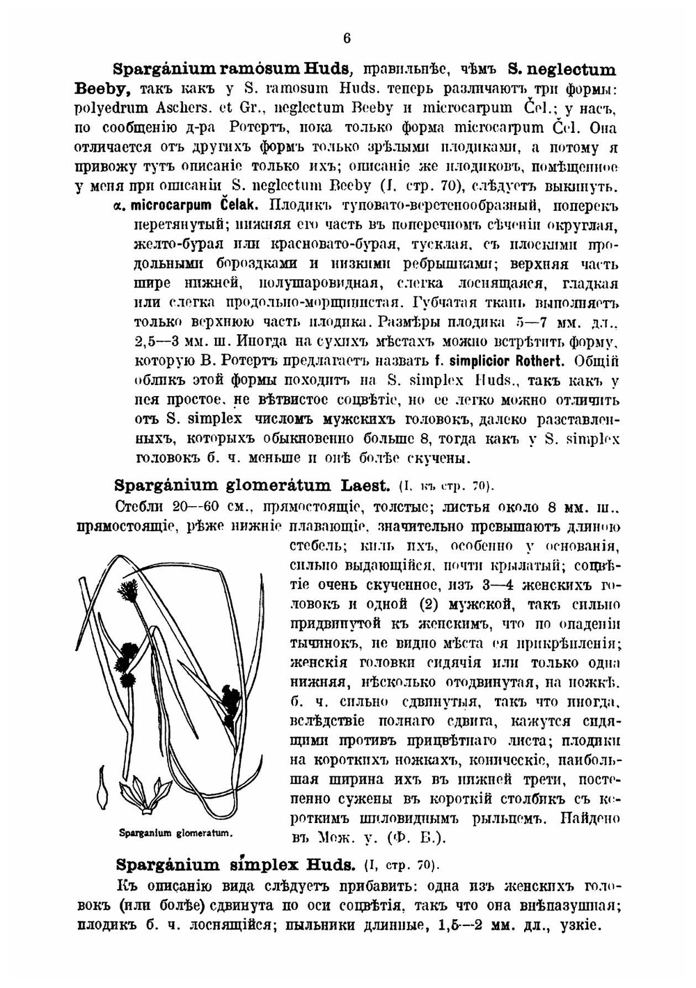Иллюстрированная флора Московской губернии. Часть 4 | Сырейщиков Дмитрий Петрович