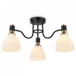 Потолочная люстра Ambrella Light TR TR303303