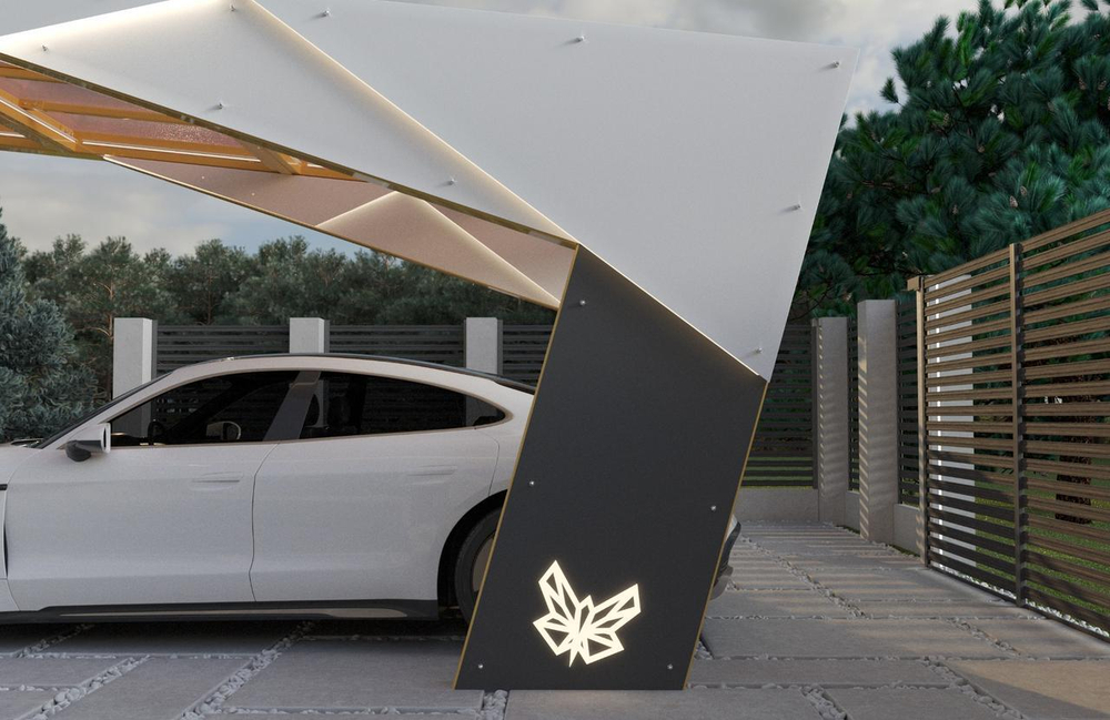 Консольный навес для автомобиля SK00304