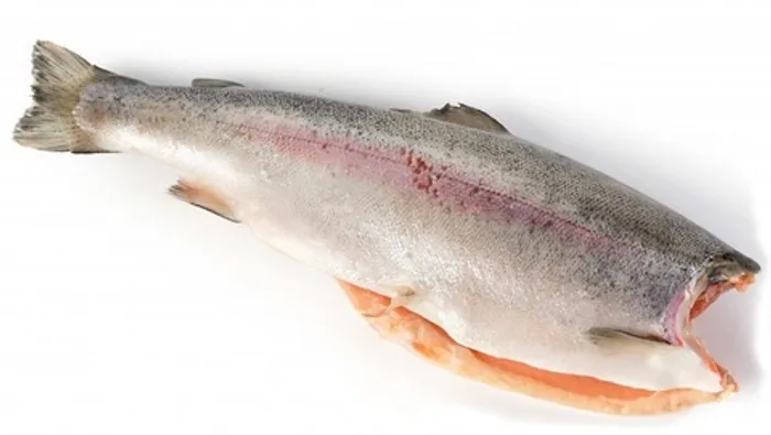 Форель б/г с/м 1,8-2,7 Мурманская