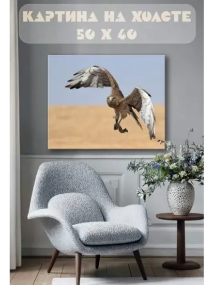 Картина на стену 40 X 50 Сокол
