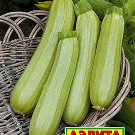 Кабачок Корнишонный белоплодный 1