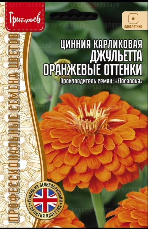 Цинния Джульетта Оранжевые Оттенки карликовая