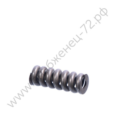 SD0202#31 пружина