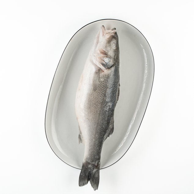 Сибас, 400+, с/м