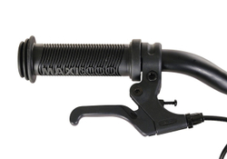 Maxiscoo SHARK Sport 16'' (2025)