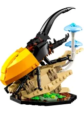 Конструктор Ideas 21342 Коллекция насекомых