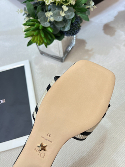 Christian Dior Dway Slide (11 colors)