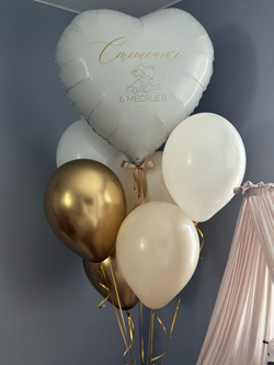 Воздушные шары на полгодика/ 6 месяцев №2708