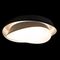 Потолочный светильник Loft IT Petale 10256 Black