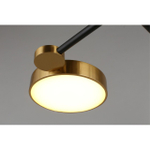 Потолочная светодиодная люстра Aployt Ines APL.043.07.65