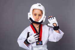 Перчатки WT защитные ProfSport