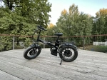 Электрофэтбайк Elbike Taiga 3 Twix (Зеленый)