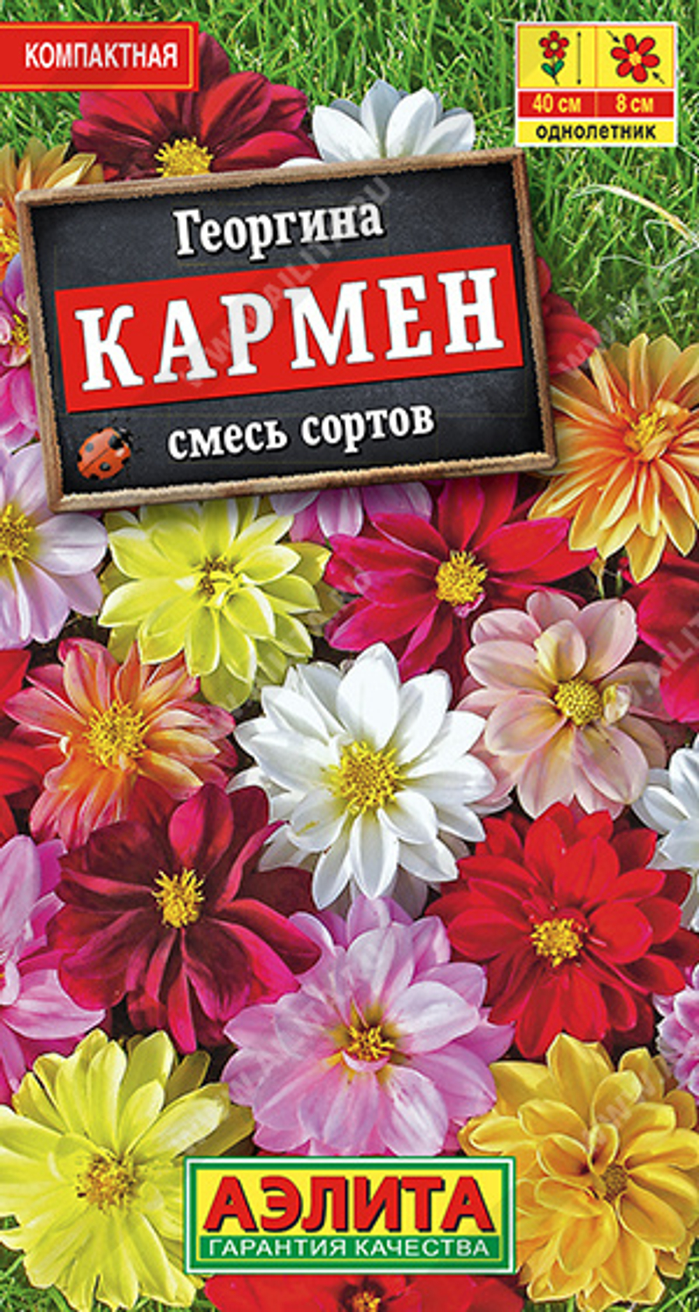 Георгина Кармен смесь