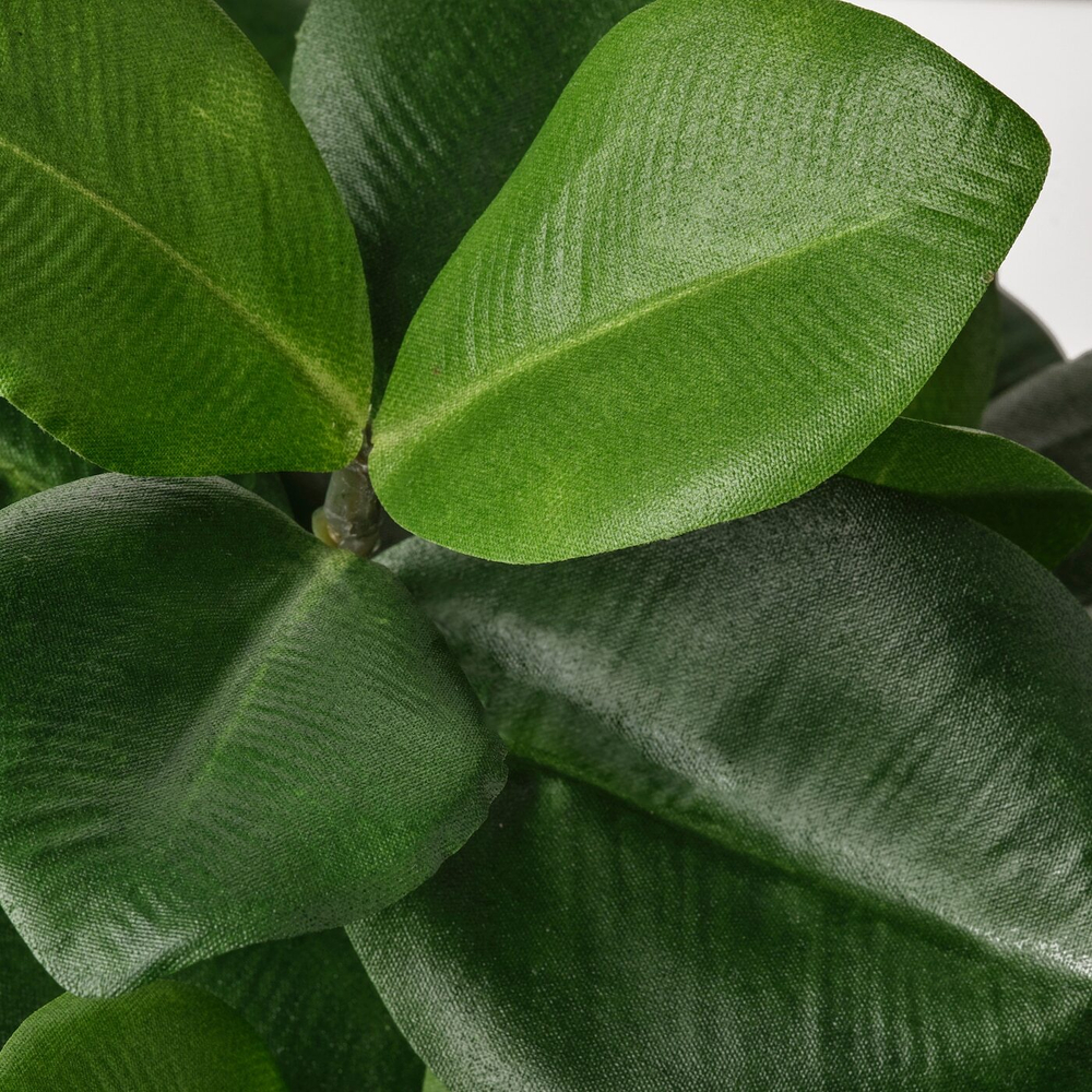 FEJKA Искусственное горшечное растение, комнатное/открытое Розовый кускус, 12 см