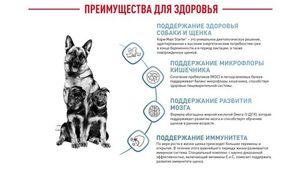 Корм для щенков крупных пород до 2-х месяцев и беременных сук, Royal Canin Maxi Starter Mother & Babydog