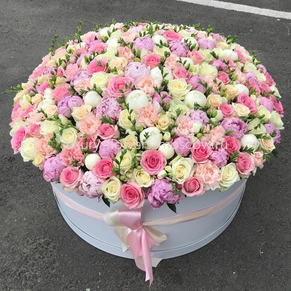 Микс шляпная коробка 49
