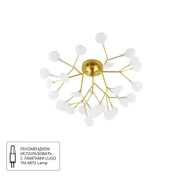 Потолочная люстра Arte Lamp