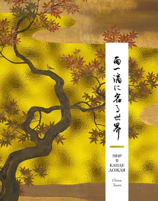 Мир в капле дождя