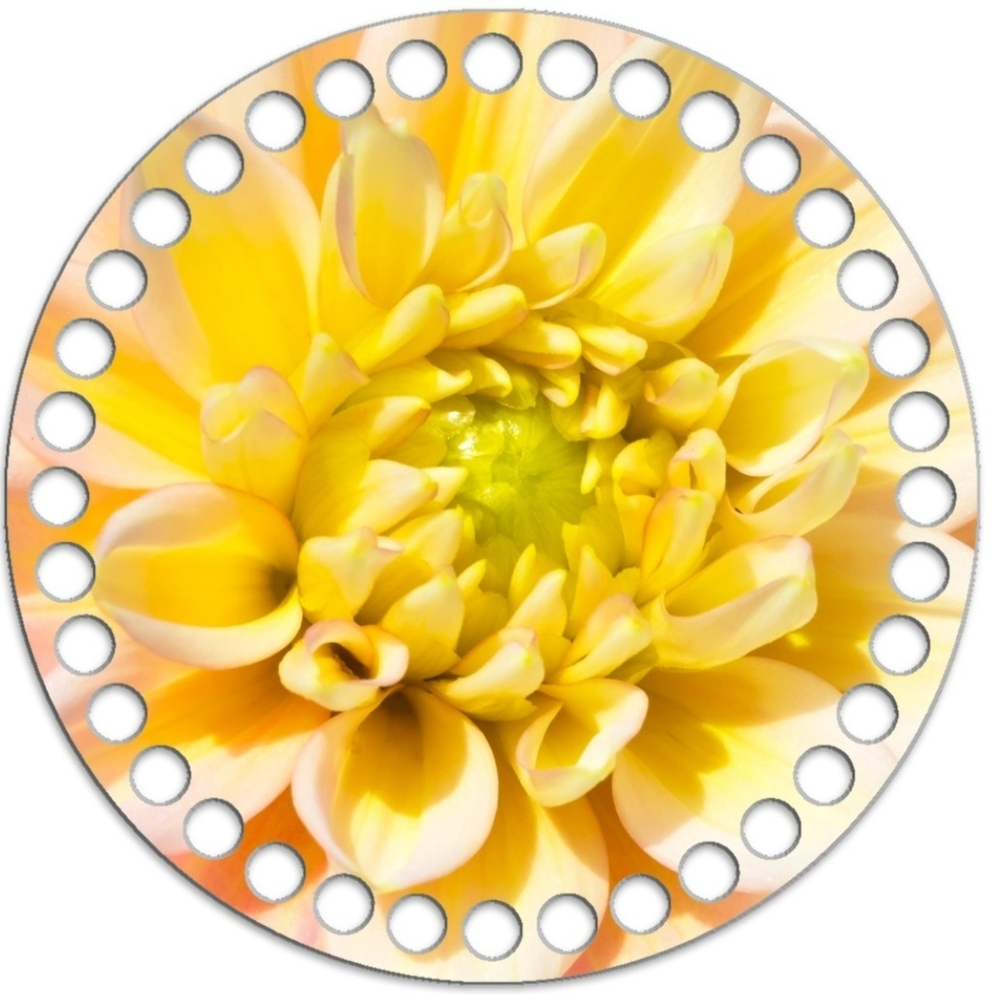 Донышко Принт 15см