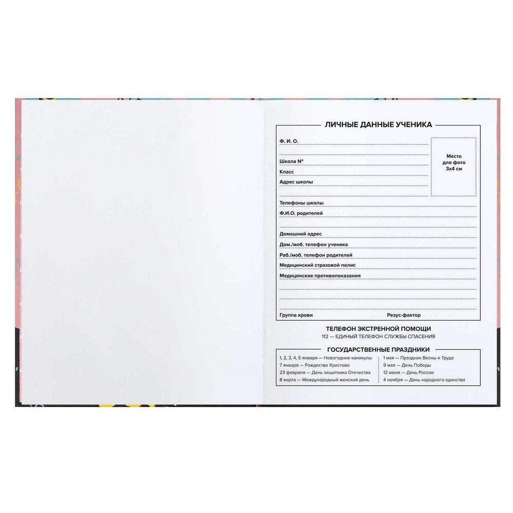 Дневник школьный 48л "Ты супер!" (Феникс+)